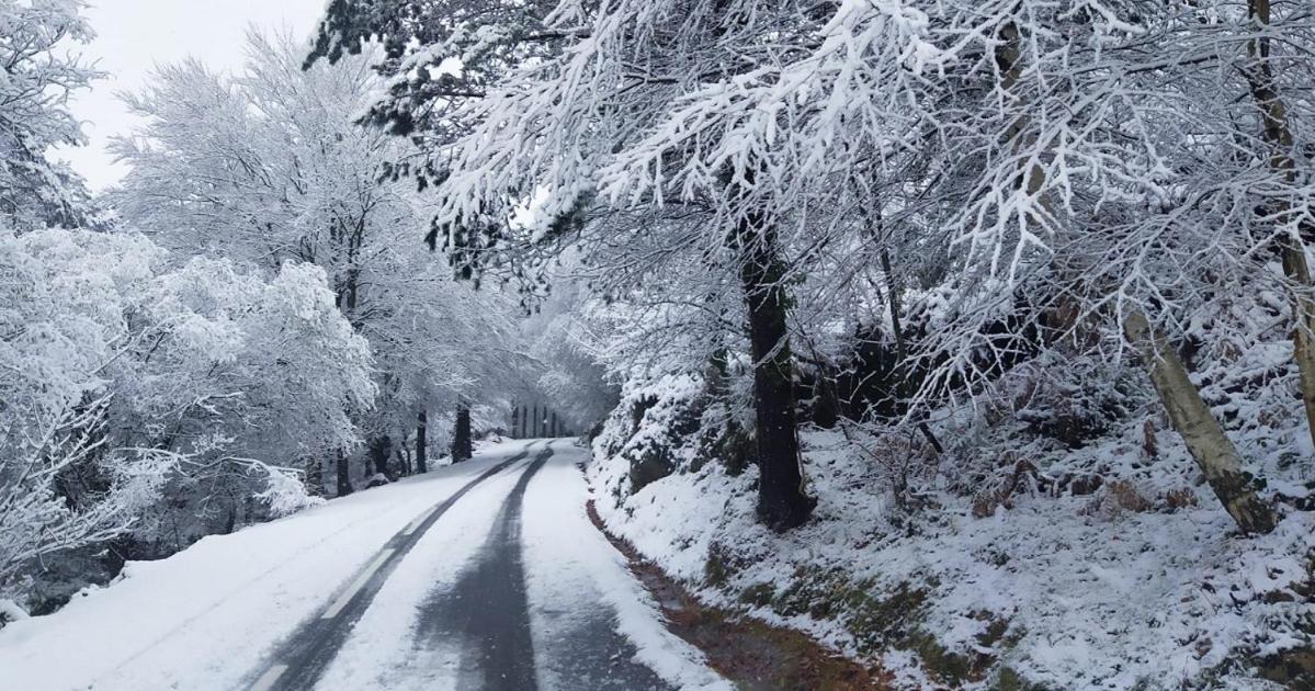 Quinta Vale Da Prata Villa Celorico Da Beira Dış mekan fotoğraf