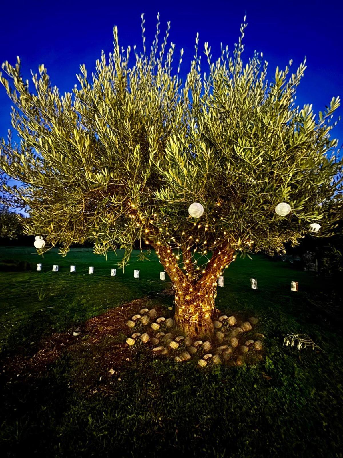 Quinta Vale Da Prata Villa Celorico Da Beira Dış mekan fotoğraf