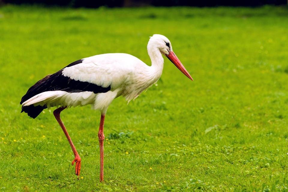 Quinta Vale Da Prata Villa Celorico Da Beira Dış mekan fotoğraf