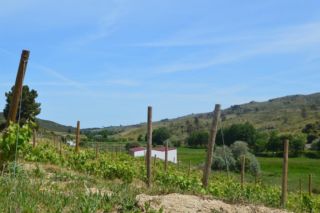 Quinta Vale Da Prata Villa Celorico Da Beira Dış mekan fotoğraf