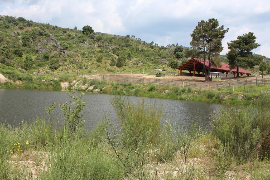 Quinta Vale Da Prata Villa Celorico Da Beira Dış mekan fotoğraf