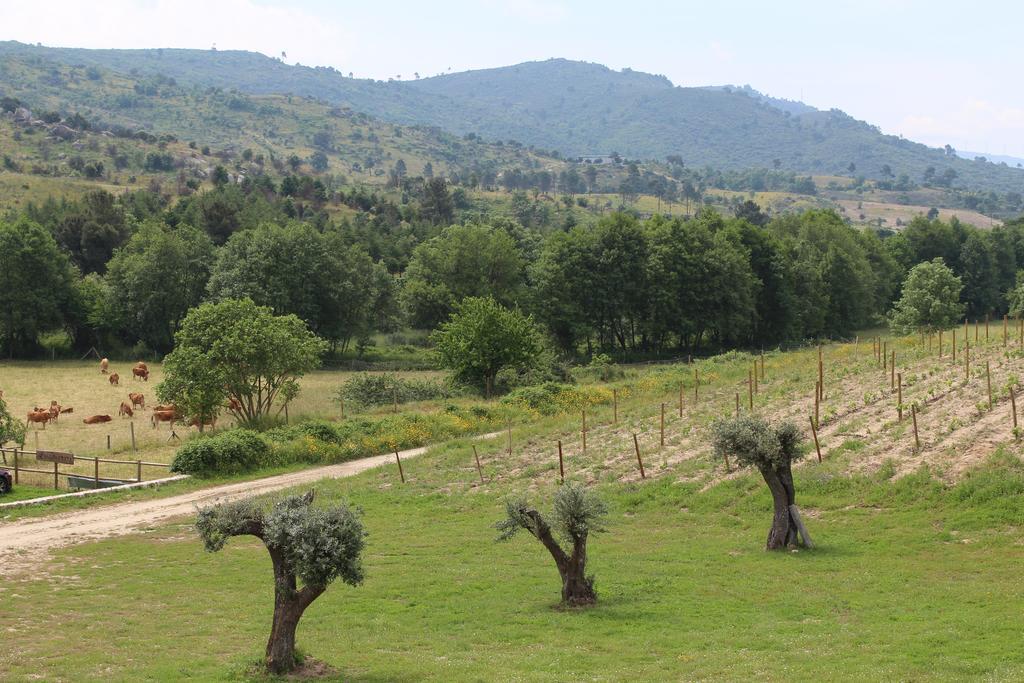 Quinta Vale Da Prata Villa Celorico Da Beira Dış mekan fotoğraf