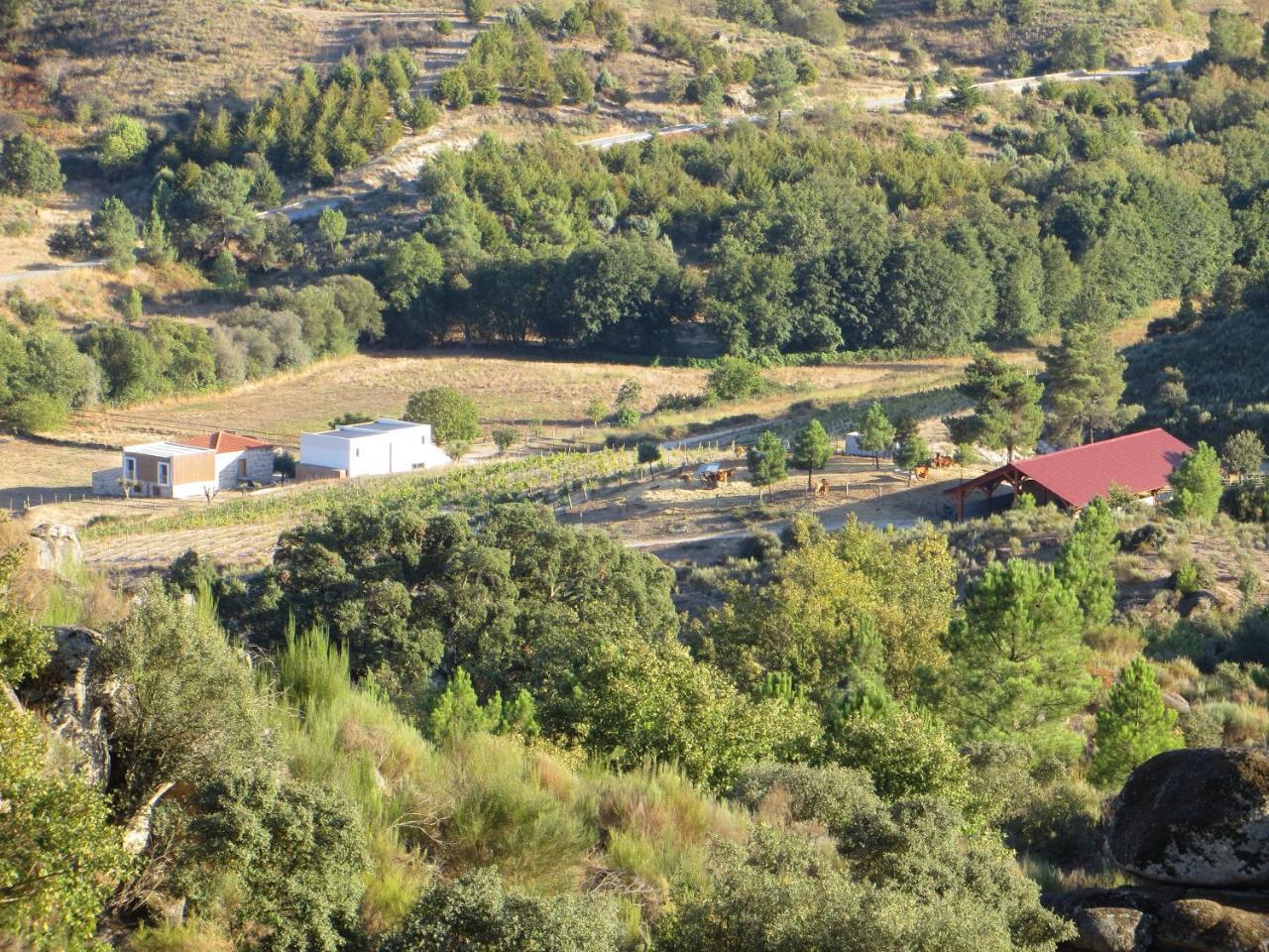 Quinta Vale Da Prata Villa Celorico Da Beira Dış mekan fotoğraf